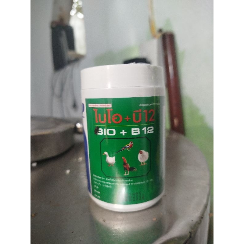 bio b12 úm gà con thái lan