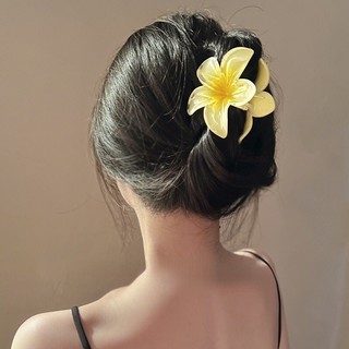 ⋅˚₊‧ 🌼🌸 𝐊𝐄̣𝐏 𝐓𝐎́𝐂 𝐇𝐎𝐀 𝐒𝐔̛́ 🌸🌼