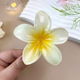 ⋅˚₊‧ 🌼🌸 𝐊𝐄̣𝐏 𝐓𝐎́𝐂 𝐇𝐎𝐀 𝐒𝐔̛́ 🌸🌼