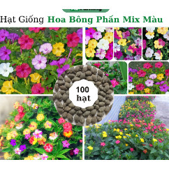 100 Hạt giống hoa các loại (cân lẻ)