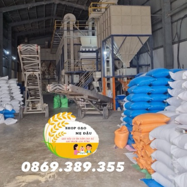 Gạo tám thơm 10Kg Hải Hậu Nam Định dẻo vừa Chính hãng (hàng mới) | BigBuy360 - bigbuy360.vn