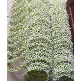 Vòng hoa baby đội đầu chụp kỷ yếu