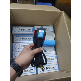 Bộ dây nguồn cho bi cầu chân h4 relay matrix