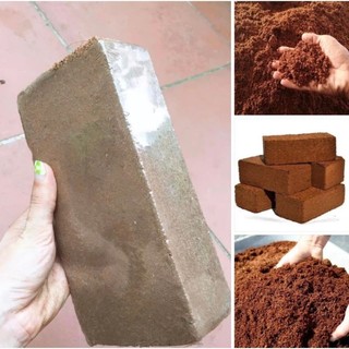 viên nén xơ dừa