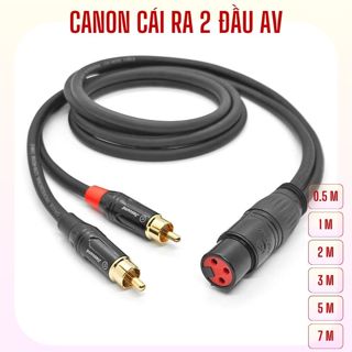Dây canon cái ra 2 đầu AV, giá 1 sợi