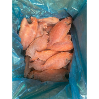 Cá Diêu Hồng mần sạch cấp đông 1kg