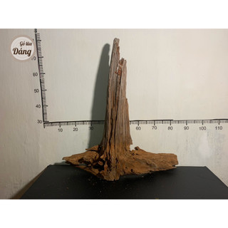 Gỗ lũa nhất trụ, trụ lũa thủy sinh, trụ lũa cho bể cá