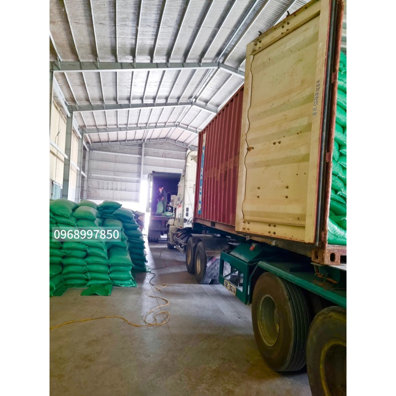 [HOẢ TỐC] GẠO TÁM THƠM HẢI HẬU (Thơm, Dẻo, Đậm Cơm) | BigBuy360 - bigbuy360.vn