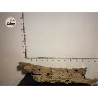 Trụ lũa rỗng, lũa dổi, kích thước lớn cho bể từ 1m2
