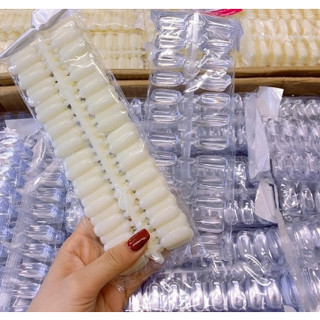 móng đặc gắn sổ mẫu