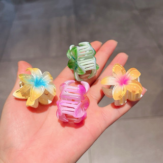 Gắp tóc hoa sứ màu sắc sang chảnh size nhỏ