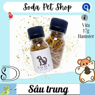 Sâu Trung Rang Cho Hamster