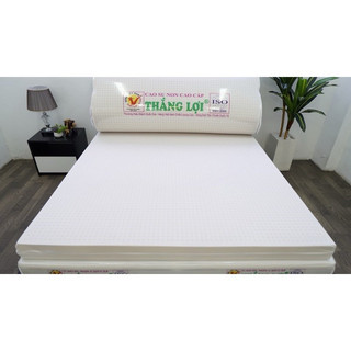 Nệm cao su non cao cấp Thắng Lợi ( Chính Hãng BH 15 năm)