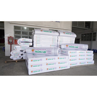 Nệm cao su non cao cấp Thắng Lợi ( Chính Hãng BH 15 năm)