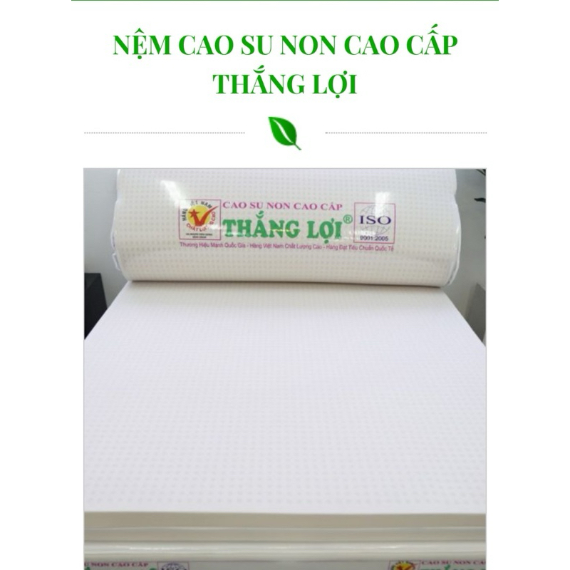Nệm cao su non cao cấp Thắng Lợi ( Chính Hãng BH 15 năm)