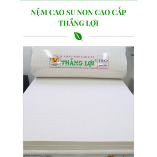 Nệm cao su non cao cấp Thắng Lợi