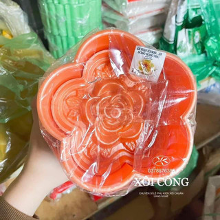 Khuôn xôi, khuôn đóng xôi hoa bông hồng