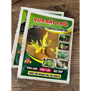Vua bật chồi 50gr - mập cọng, lớn lá, bung đọt, bật lộc
