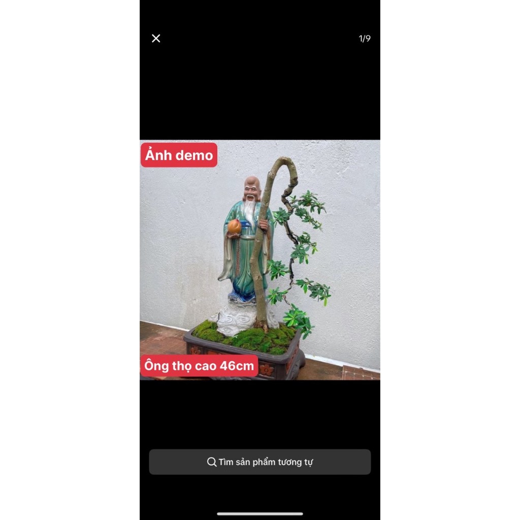 Tượng ông thọ ghép cây bonsai màu xanh cao 46cm SP836