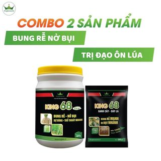 Combo King 68 + King 68 rice kích rễ, nở bụi, đẻ nhánh nhanh, kích to đòng, trổ thoát nhanh xanh cây