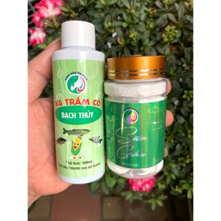  Bạch Thủy Kiên Gấu nước xanh ngâm ngô  Sữa Gấu câu trắm trắng và chép lớn 