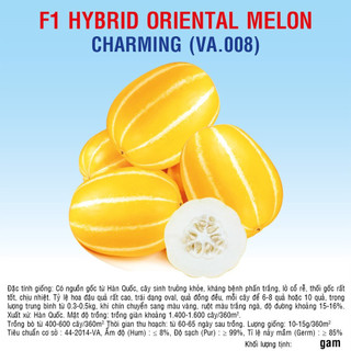 Hạt giống Dưa lê Hàn Quốc Charming (VA.008)