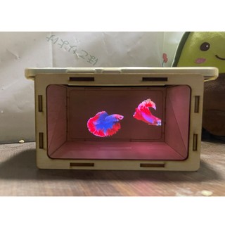 [Xưởng-Sỉ]Trò chơi stem Hologram Box, Hộp Tạo Ảo Ảnh 3D, Phiên Bản Dùng Với Điện Thoại