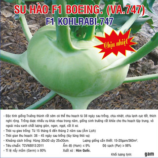 Hạt giống su hào f1 boeing 0.5gram