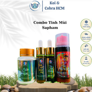 8 combo thần thánh câu chép sapham - tinh mùi câu cá