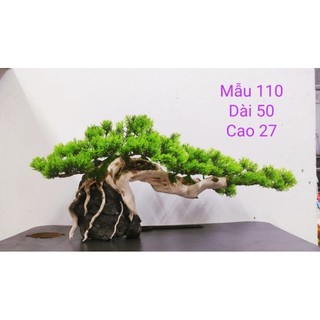 ( Hàng Sẵn) Lũa Bonsai Dáng Huyền Dành Cho Bể Cá ( mẫu như hình)