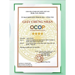[ COMBO 2 LÍT ] Nước cốt Nhàu nguyên chất Phong Thảo