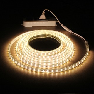 Nguồn led dây 220V 2 hàng, 3 hàng, led đuổi, led quấn cây trang trí ngoài trời