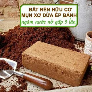 Đất trồng cây: combo 10 viên đất nén xơ dừa hữu cơ + tặng kèm 3 túi hạt giống và 3viên đất nén ươm ủ