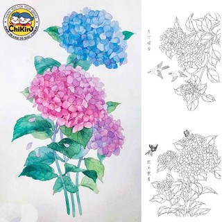 Tranh tô màu "Hoa Tú Cầu" bộ 25 tranh khổ A4, A5 giấy dầy đẹp TT0012