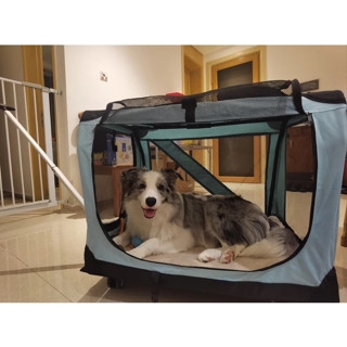   SIZE siêu lớn 30KG  Túi kéo thú cưng chó mèo kiêm nhà di động gấp gọn khi du lịch có bánh xe tiện dụng chiều dài 75cm 