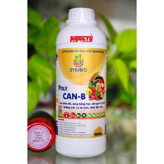 POLY CAN-B của SYMBIO giúp thụ phấn tốt, vô gạo, giữ lá đòng bền khỏe, giảm rụng và méo trái, chắc đặc ruột