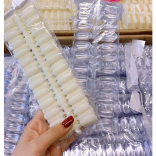 Móng đặc gắn sổ mẫu