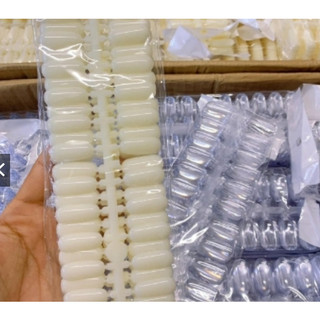 móng đặc gắn sổ mẫu