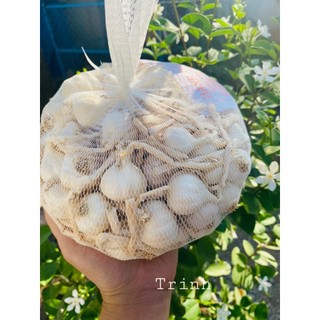 Tỏi lý sơn nhiều tép cam kết chính hiệu 100%