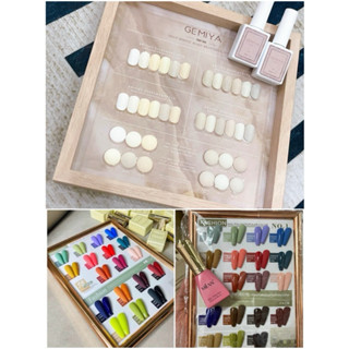 Set sơn gel Vandonnie 18 màu - Dirse 18 màu - Gelite l (12 màu) hot trend 2022 tặng kèm bảng màu sơn sẵn