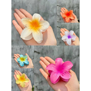 Sỉ kẹp tóc hoa đại-kẹp tóc hoa sứ-bó hoa siêu xinh