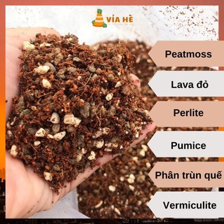 Đất trồng sen đá kiểng lá xương rồng túi 1kg 0.5kg trồng cây trong nhà VIAHE tơi xốp thoát nước tốt