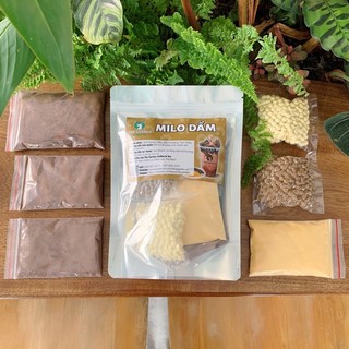 Set Milo Dầm Trân Châu Pudding Trứng Pudding Socola THE GARDEN ( Set pha ~10 cốc)