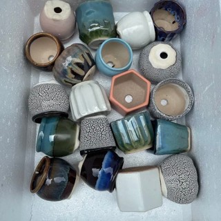 Combo 12 chậu sứ mini khoảng 6x6cm - chậu trồng sen đá, xương rồng mini