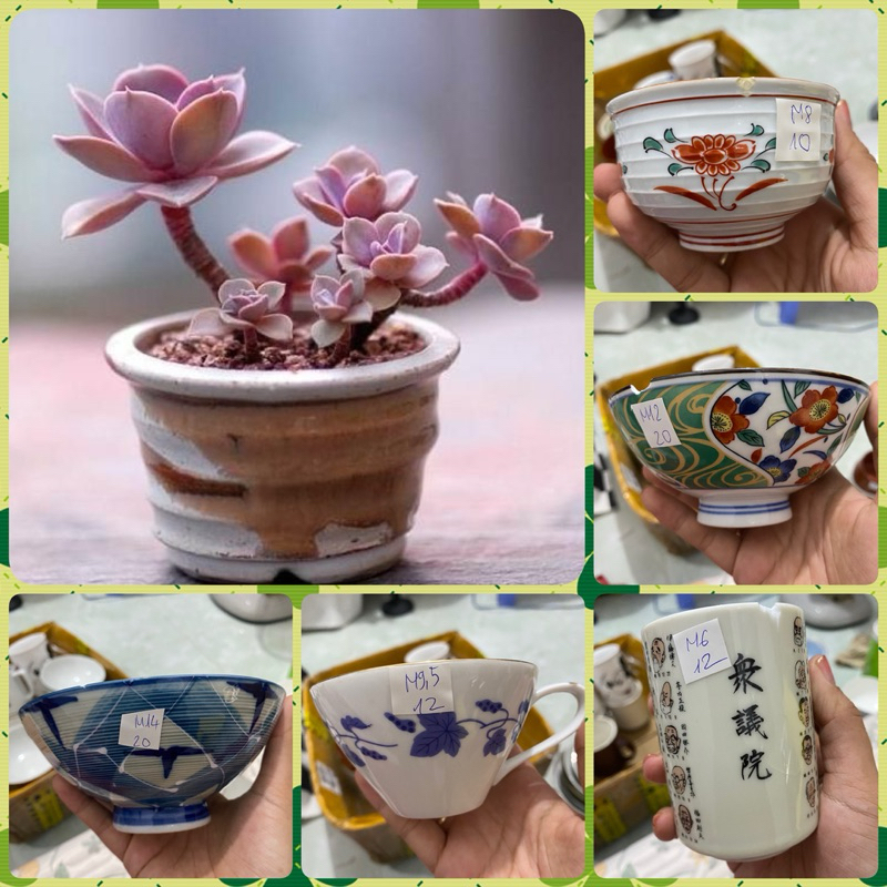 Chậu gốm Nhật trồng sen đá (lỗi) (khoan lỗ free theo yc)