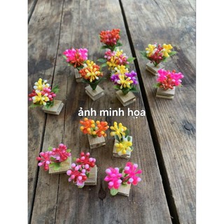 Tai cóng lồng chim khuyên _ hút mật 100pcs tre già