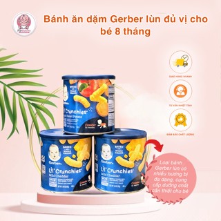 Bánh Ăn Dặm Gerber Lùn date 2024