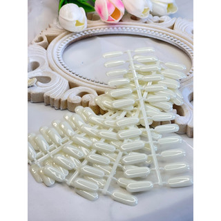 Sổ móng mẫu 120 màu + móng bẻ gài sổ