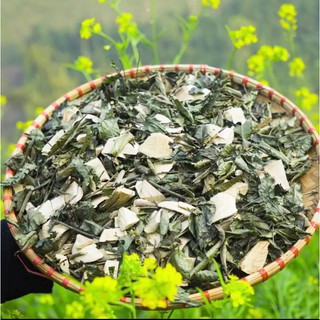 Lá mát gan rừng Sapa cây lá gan thanh nhiệt giải độc cơ thể