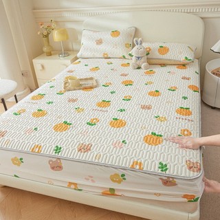 [2024] Chiếu Điều Hòa Cao Su Non Bo Chun Bọc Toàn Đệm (1m6/1m8/2m2)  - Tặng Kèm 2 Vỏ Gối